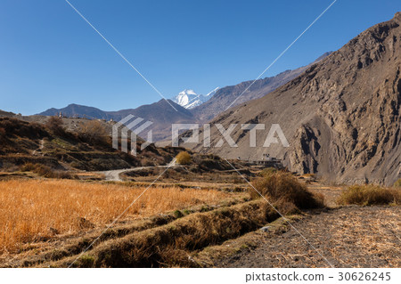 Rural fields, Nepal 30626245