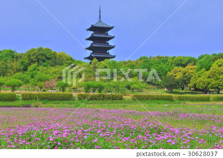 Bicaku Kokubunji Five-storied pag 30628037