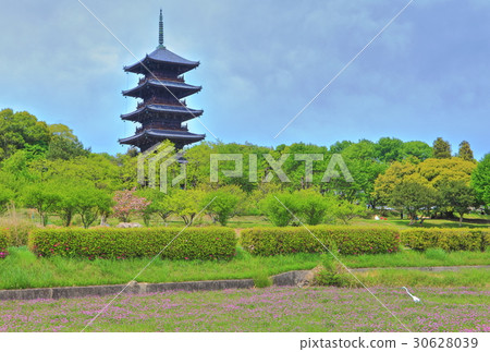 Bicaku Kokubunji Five-storied pag 30628039