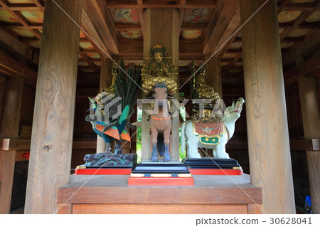 Bicaku Kokubunji Five-storied pavilion first public special release Bicaku Kokubunji Five-storied pavilion first public special release 30628041