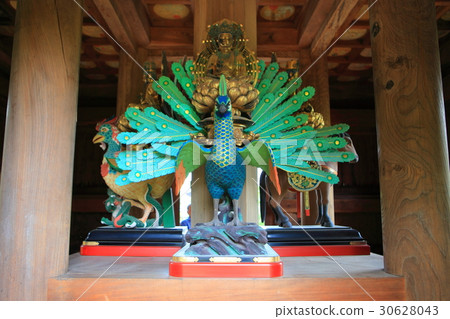 Bicaku Kokubunji Five-storied pavilion first public special release Bicaku Kokubunji Five-storied pavilion first public special release 30628043