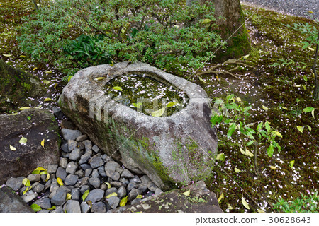 Sento Imperial Palace Seibatei's hand basin Sento Imperial Palace Seibatei's hand basin 30628643
