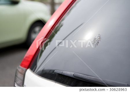 狗·車輛 30628963