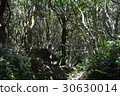 Hiking 30630014