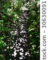 Mountain  30630091