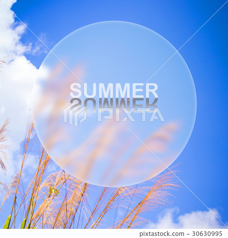 Summer holiday concept background with grass Summer holiday concept background with grass 30630995