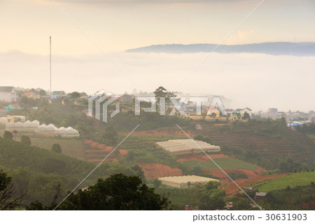 Dalat city in early morning fog, Lam Dong, Vietnam 30631903