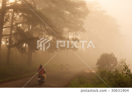 A street in early morning fog, Da Lat, Lam Dong 30631904