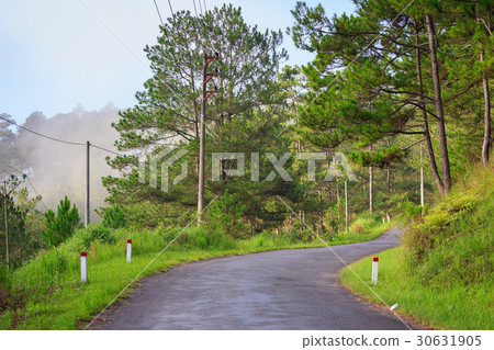 A street in early morning, Da Lat, Lam Dong 30631905