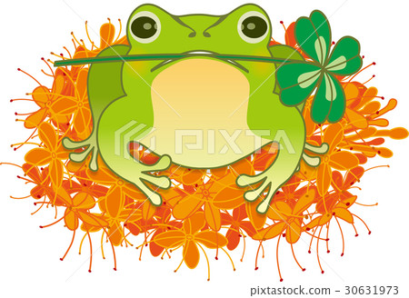 Frogs and aquatica flowers Frogs and aquatica flowers 30631973
