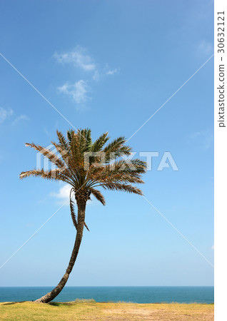 Park of Ashkelon in Israel Park of Ashkelon in Israel 30632121