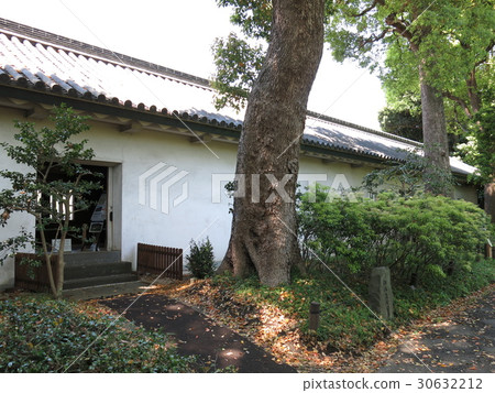 江戶城的藤見大雄留在故宮花園內 江戶城的藤見大雄留在故宮花園內 30632212