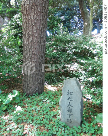 A corridor trace of a pine tree of Edo castle in the East garden of the Imperial Palace 30632407