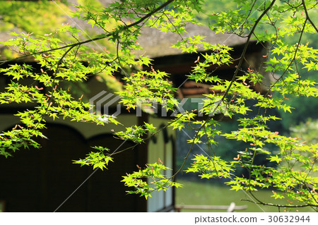 Nishinomaru garden 30632944