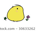 Chick (* ^ _ ^ *) 30633262