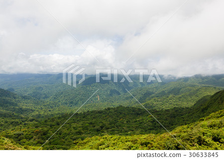 Rainforest landscape in Monteverde Costa Rica 30633845