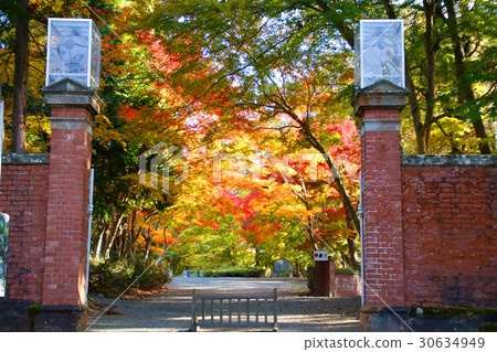 秋天名人鏡子(豬苗代町) 秋天名人鏡子(豬苗代町) 30634949