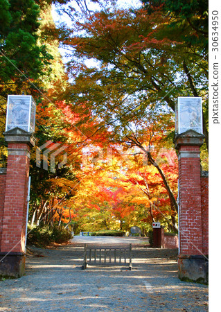 秋天名人鏡子(豬苗代町) 秋天名人鏡子(豬苗代町) 30634950