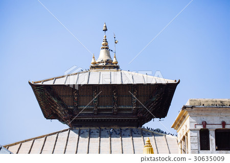 Pashupatinath Temple in Kathmandu, Nepal 30635009