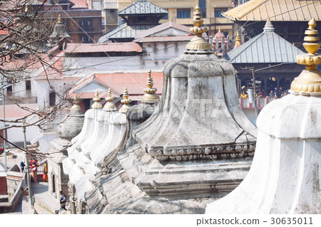 Pashupatinath Temple in Kathmandu, Nepal 30635011