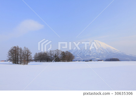 Evening snowfield and Mount Yotei Evening snowfield and Mount Yotei 30635306