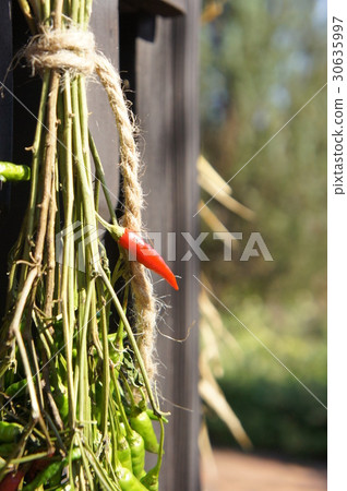 Red pepper Red pepper 30635997