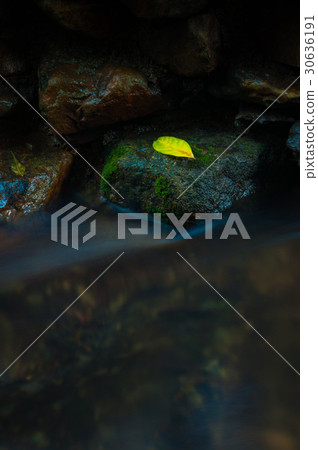 A yellow leaf on the rock with waterfall in dark A yellow leaf on the rock with waterfall in dark 30636191