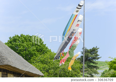Koinobori Children's Day Blue sky Koinobori Children's Day Blue sky 30636709