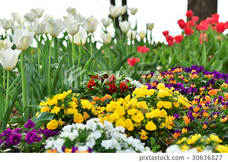 Nationwide Urban Greenery Yokohama Fair / Sorimachi Park Venue Nationwide Urban Greenery Yokohama Fair / Sorimachi Park Venue 30636827
