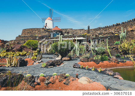 Windmill in tropical cactus garden in Guatiza 30637018