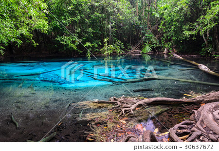 Emerald blue pool in Krabi province, Thailand 30637672