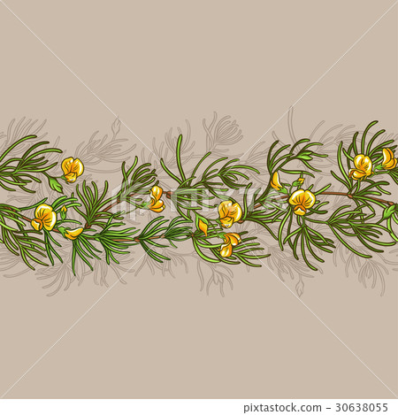 rooibos seamless pattern rooibos seamless pattern 30638055