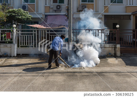 Fogging DDT spray kill mosquito 30639025