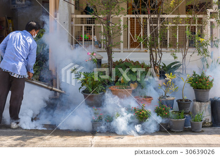 Fogging DDT spray kill mosquito 30639026