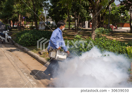 Fogging DDT spray kill mosquito Fogging DDT spray kill mosquito 30639030