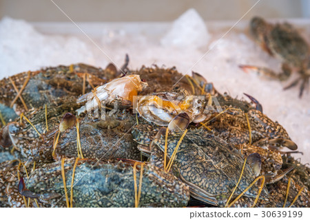 Fresh raw flower crab at seafood market 30639199