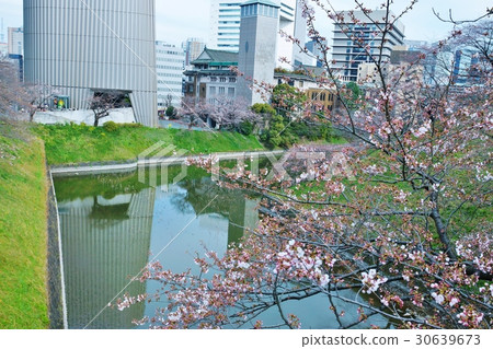 Tokyo sightseeing spot Cherry blossom spot · Spring beef bowl overlooking from the Imperial Tananomonbashi Showa Hall on the opposite bank and the Kudan Museum · Horizontal position Tokyo sightseeing spot Cherry blossom spot · Spring beef bowl overlooking from the Imperial Tananomonbashi Showa Hall on the opposite bank and the Kudan Museum · Horizontal position 30639673