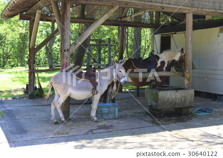 Nankigaoka ranch (Inawashiro-machi) 30640122