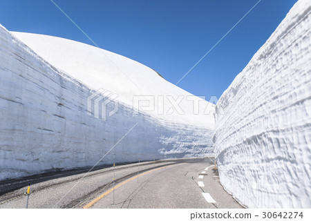 大谷立山黑部高山雪路 30642274