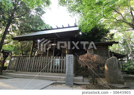 Shrine Shrine Shrine <Selfishigi Shrine> Awajishima Minami Awaji-shi 30643903