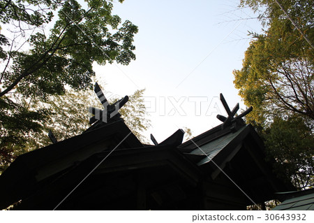 Shrine Shrine Shrine <Selfishigi Shrine> Awajishima Minami Awaji-shi Shrine Shrine Shrine <Selfishigi Shrine> Awajishima Minami Awaji-shi 30643932