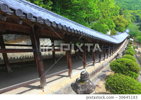 Kibitsu神社走廊 Kibitsu神社走廊 30645183