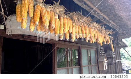 Corn under the eaves Corn under the eaves 30645203