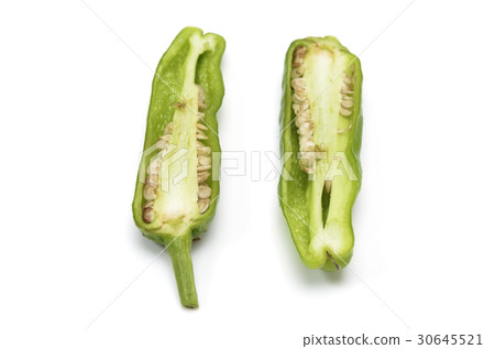 Shiratori cross section white back 30645521