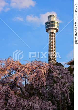 Scenery of Yokohama 30645774