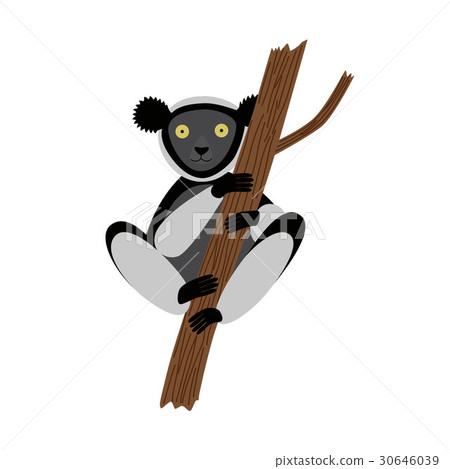 Vector image of the Cartoon Indri Vector image of the Cartoon Indri 30646039
