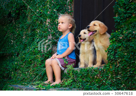 Haby boy with golden labrador retriever puppies Haby boy with golden labrador retriever puppies 30647618