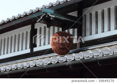 Kyoto Fushimi's cedar ball 30649170