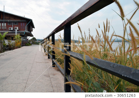 Waterfront walkway, Loei province,Thailand 30651263