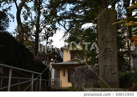Law Yunsan Senjuin Law Yunsan Senjuin 30651950